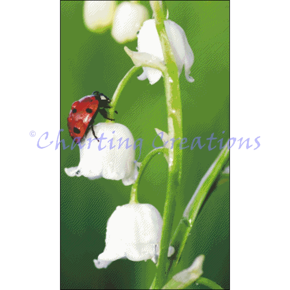 Queen Of The Lilies